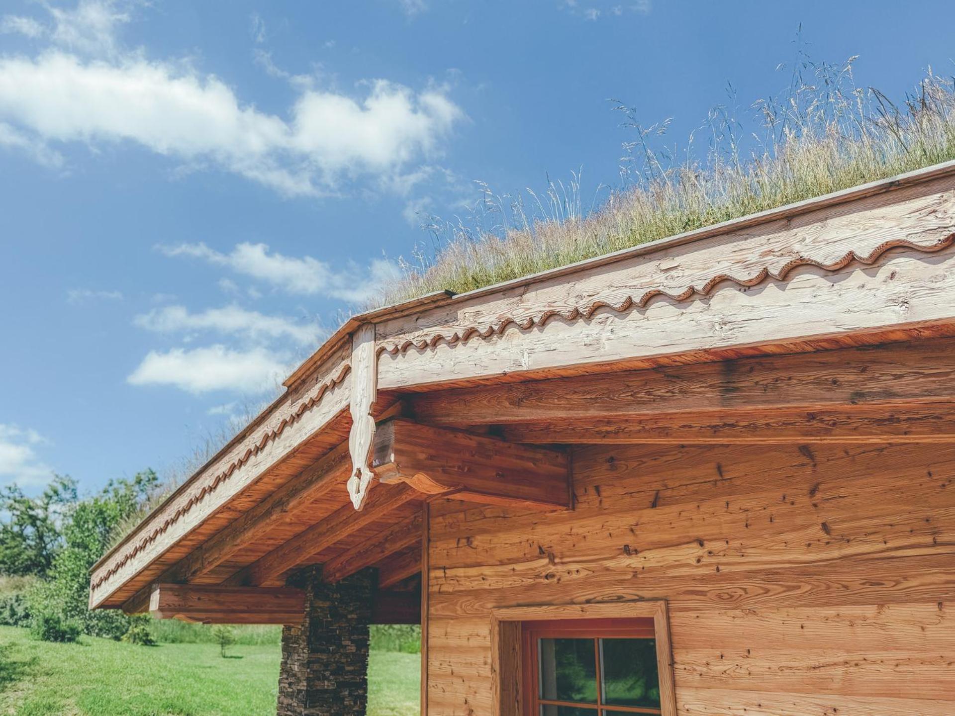 Chalets Resort Cínovec Zewnętrze zdjęcie
